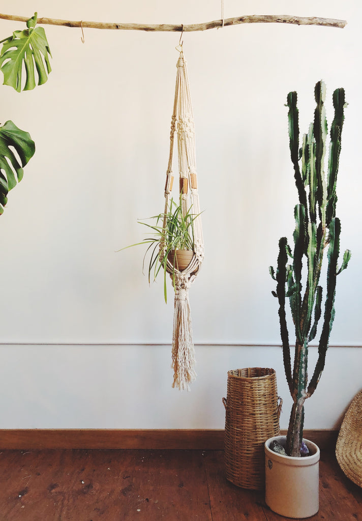 Modern Macramé for Beginners and Beyond: Stylish Modern Macramé Design  Patterns and Project Ideas for Plant Hangers, Wall Hangings, and More for  Your