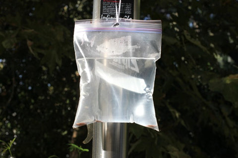 bag of water hanging on silver pole