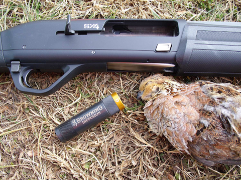 A shotgun choke is a narrowing or constriction that is present in the barrel that is usually a few inches from the muzzle.
