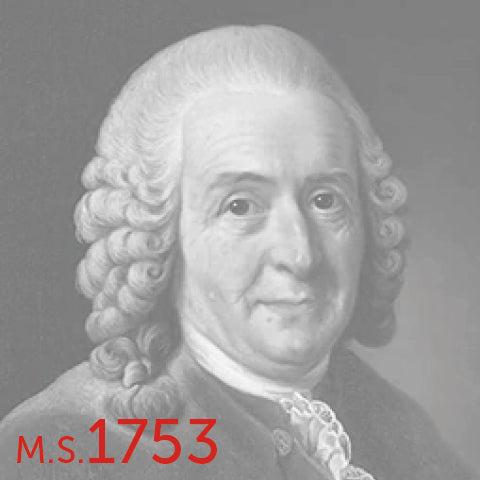 Swedish Biologist Carl Linnaeus