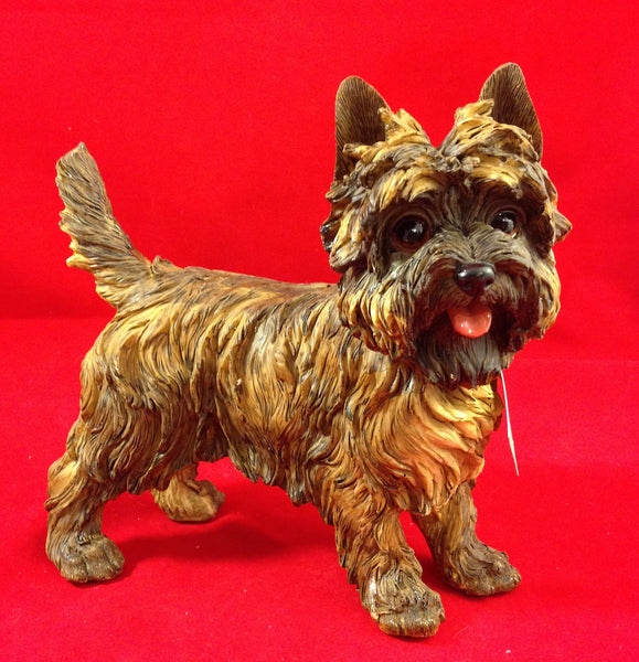 large cairn terrier