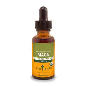 Maca Extract - Euphoric Herbals - Maca Extract Liquid