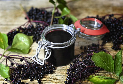 elderberry antiviral