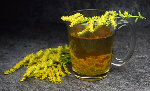 herbs for kidneys urinary system
