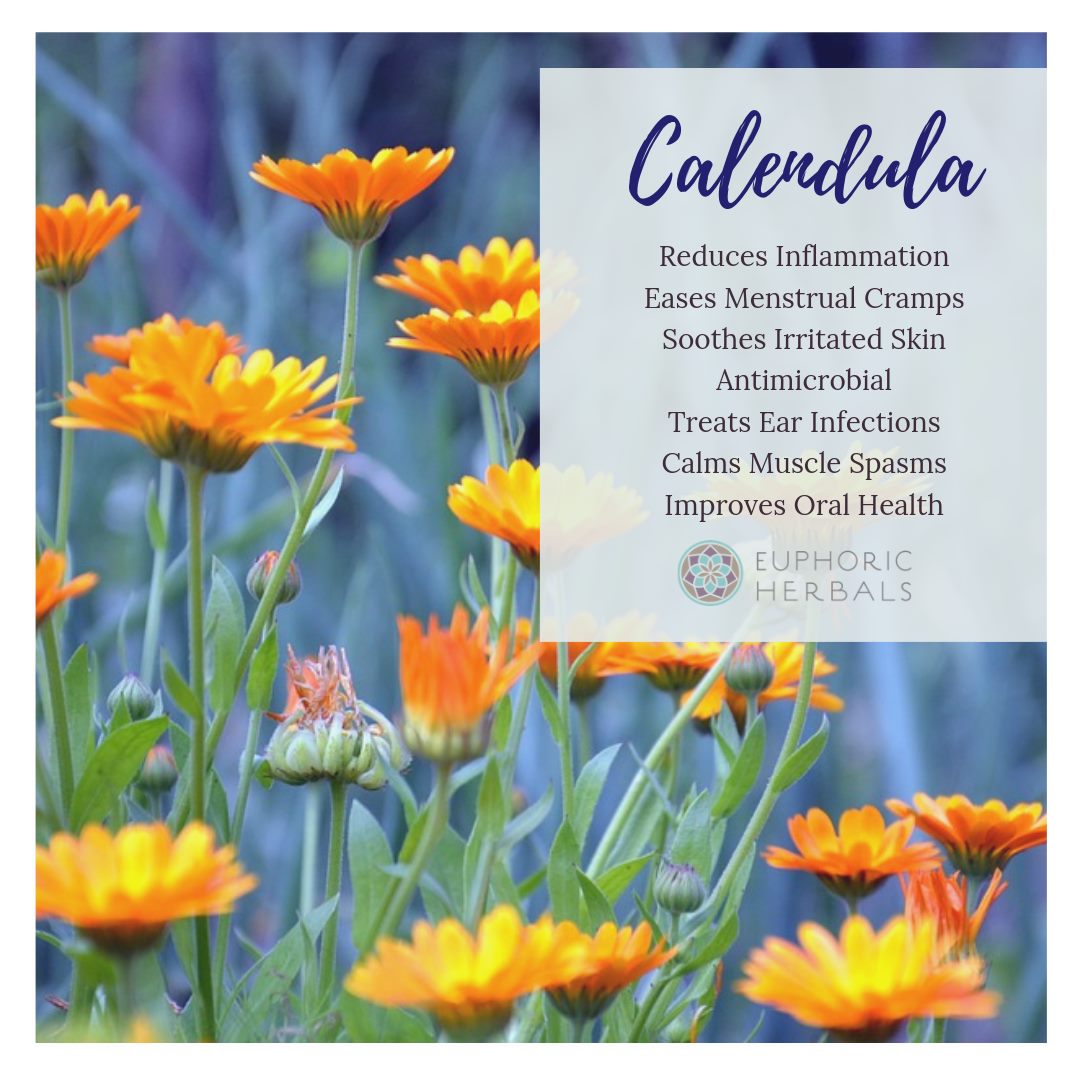 Calendula – Euphoric Herbals