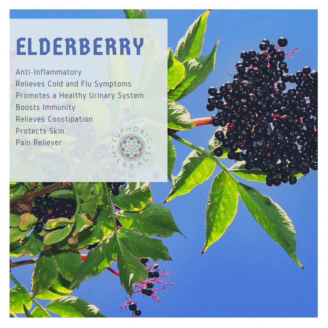 Elderberry Euphoric Herbals