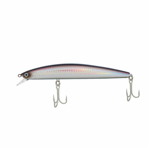 Daiwa Salt Pro Sp Minnow Swim Bait DSPM15F18 Purple Back Silver - Yahoo  Shopping