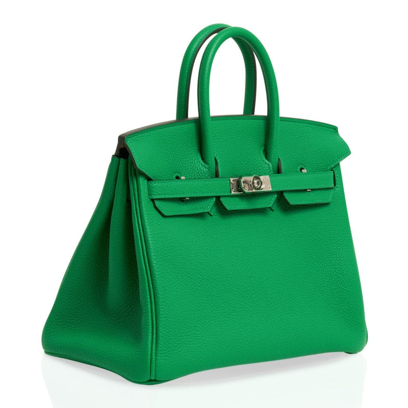 hermes bamboo birkin