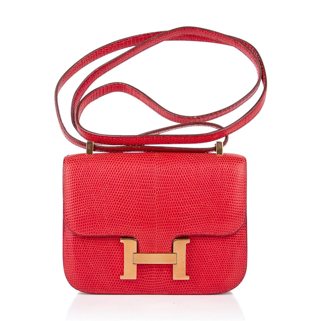 hermes constance lizard