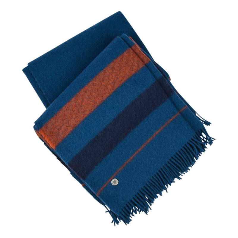 blue hermes blanket