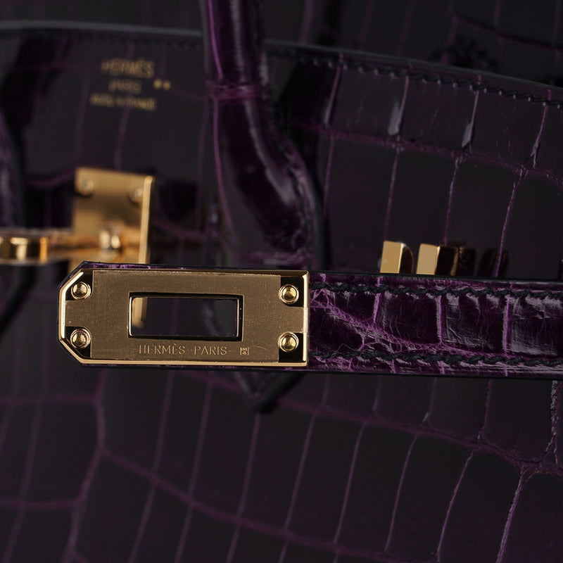 Hermes Birkin 25 Bag Aubergine Crocodile Gold Hardware – Mightychic