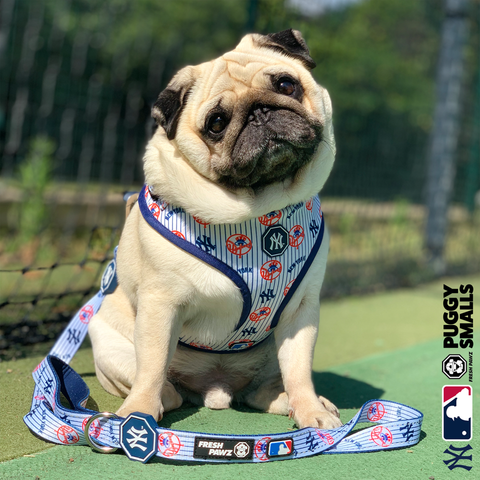 ny yankees dog harness