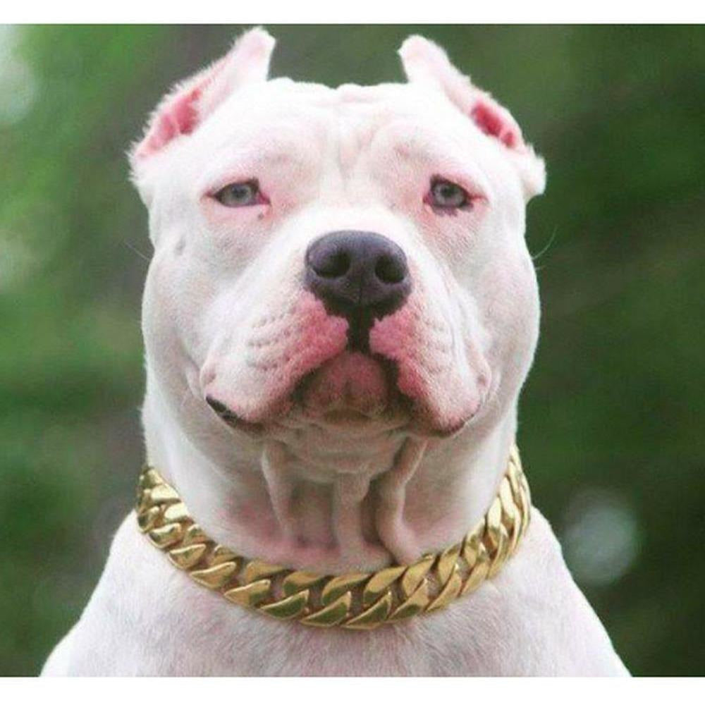 cuban link dog collar