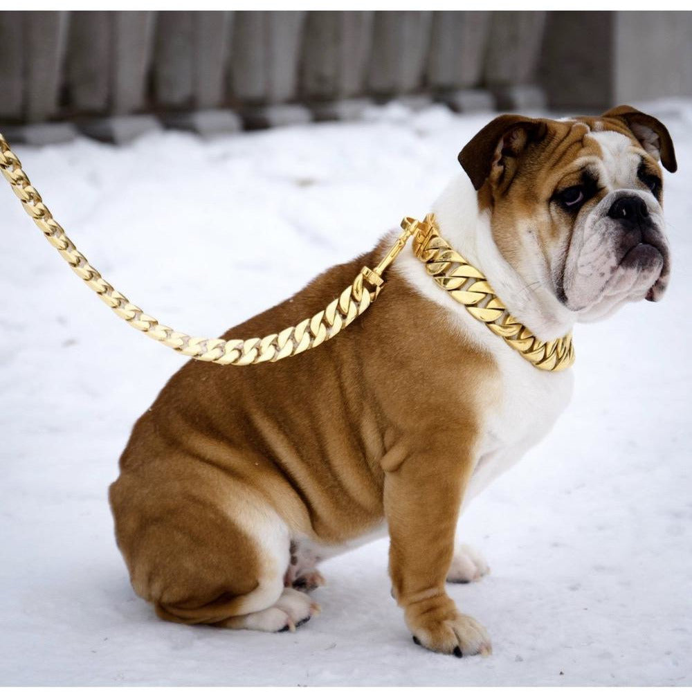 chain leashes for big dogs