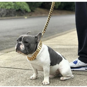 chain link dog collar