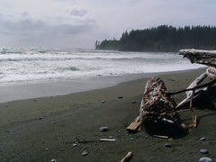 Carmanah Beach