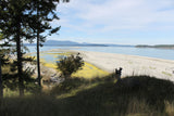 Where to explore in Victoria: Sidney Spit