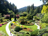 Butchart Gardens