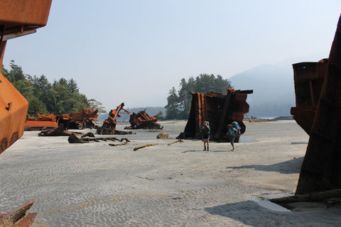 Nootka Trail Louise Bay