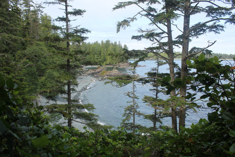 North Coast Trail overland near Cape Sutil