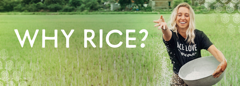 Why Rice Blog