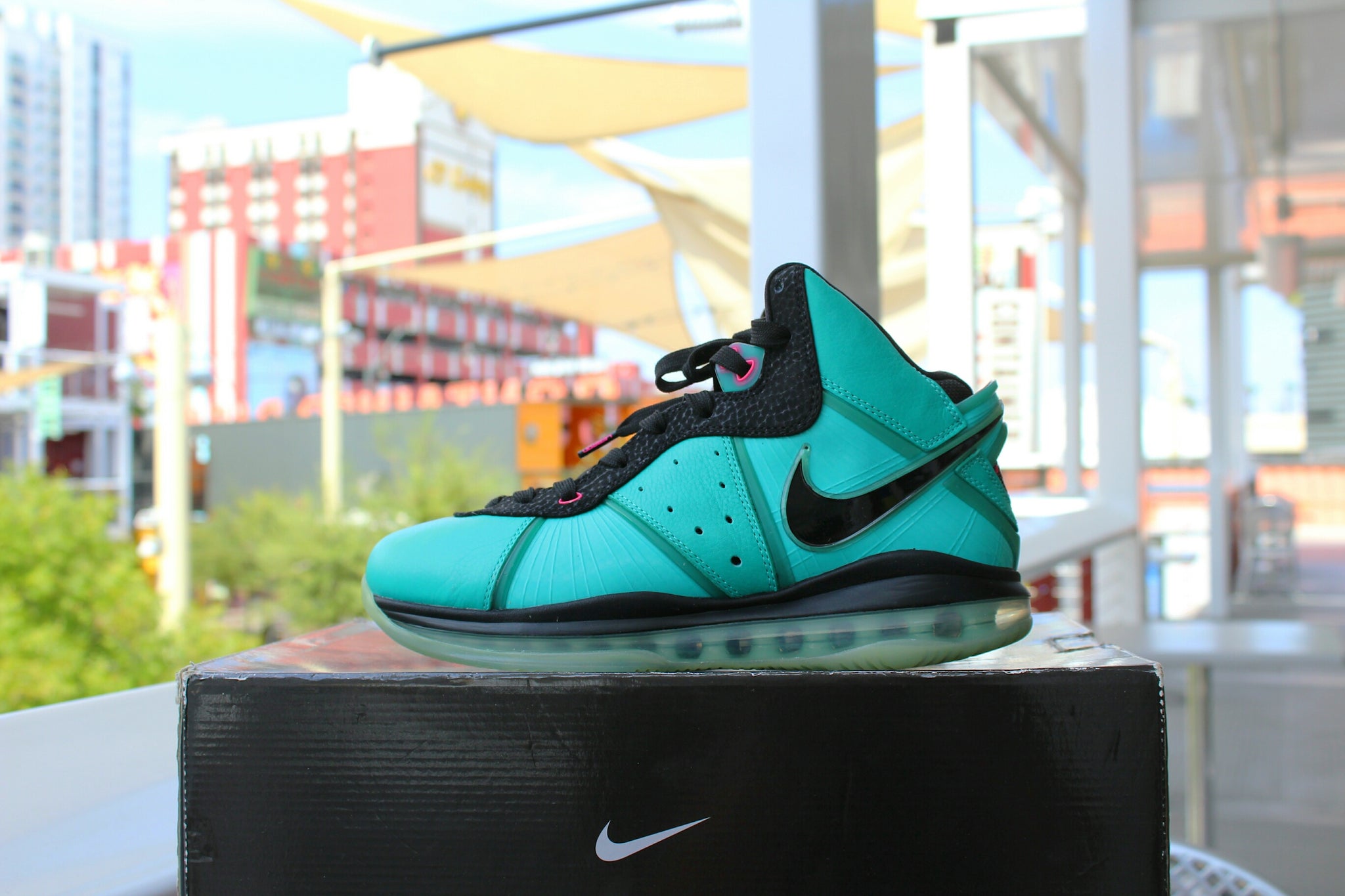 lebron 8 miami vice