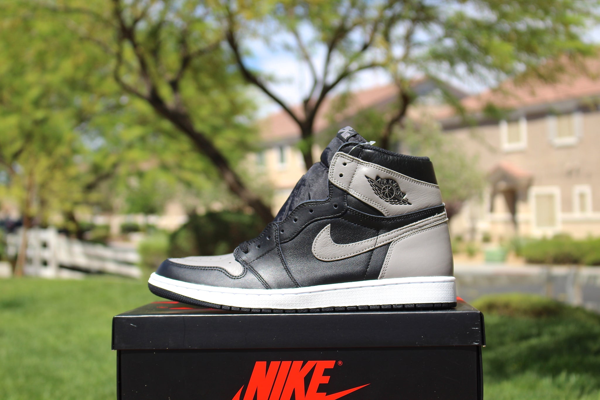 Air Jordan 1 Retro OG High (Shadow 