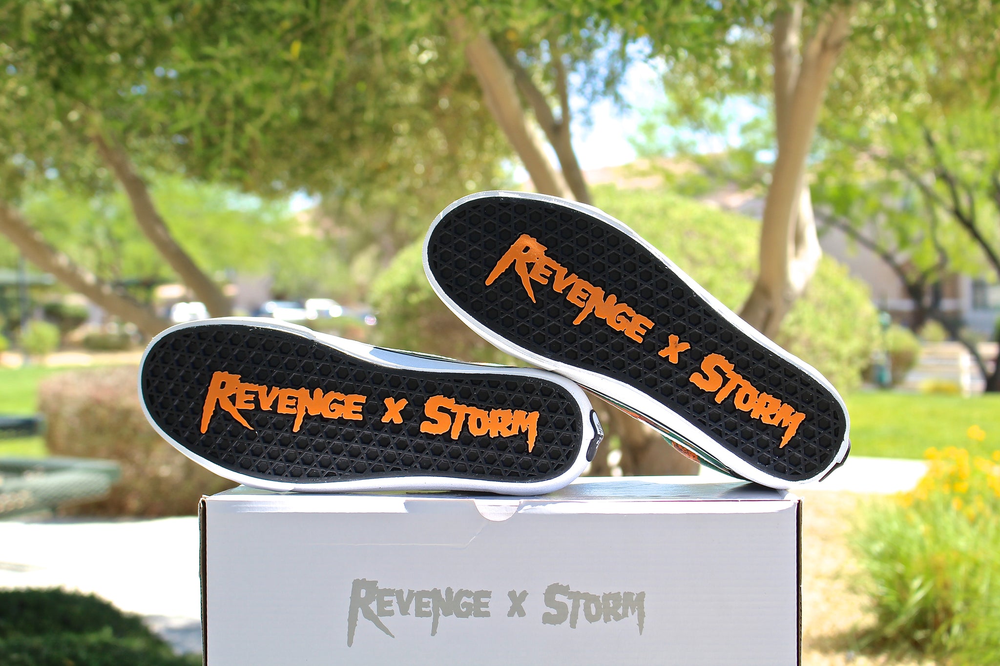 fake revenge storm vans