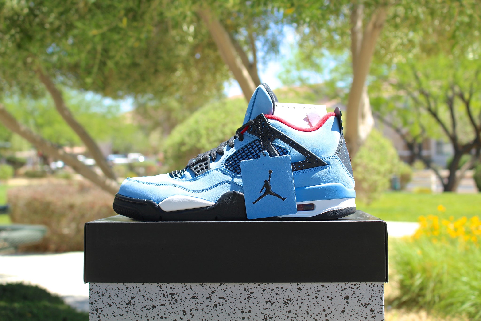 powder blue jordan 4