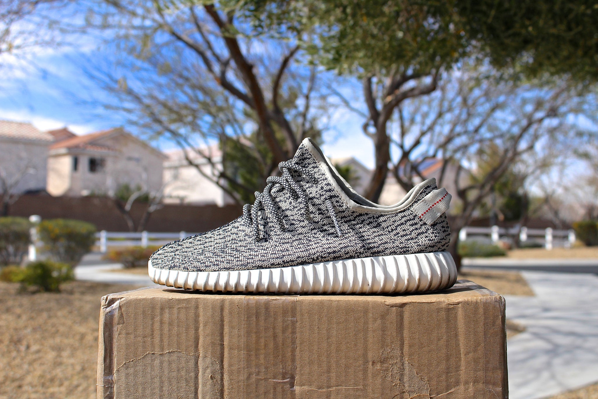 yeezy boost 35 v1 turtle dove