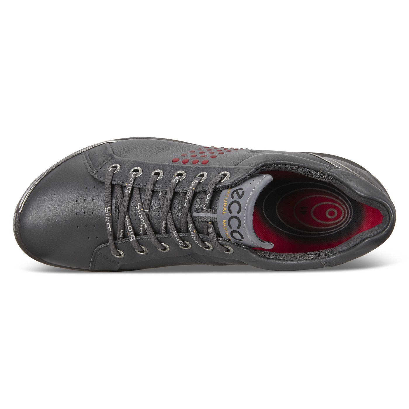 ecco mens biom hybrid 2