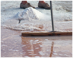 Skimming Fleur De Sel in Guerande, France