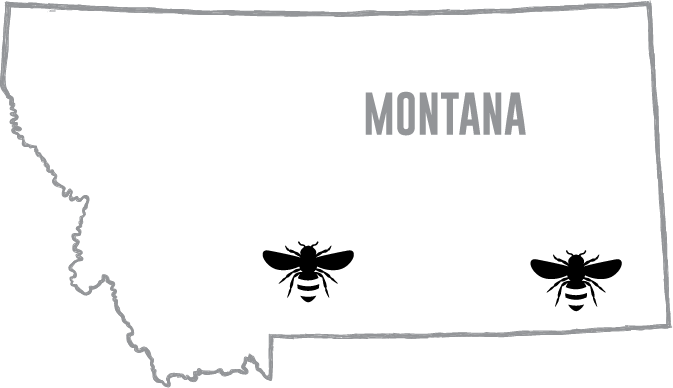 Our Montana Sweet Clover Honey is grown in Broadus and Big Timber, Montana.