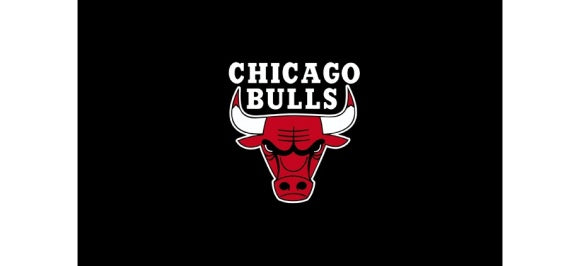 Chicago Bulls logo