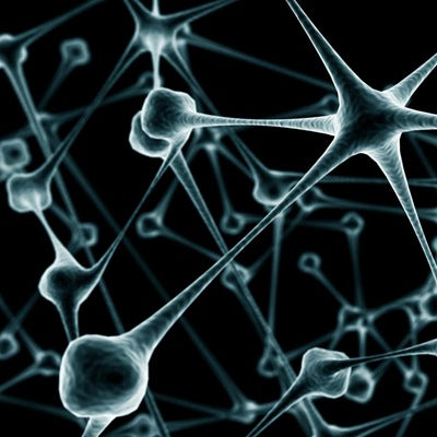 iPad Wallpaper Neurons