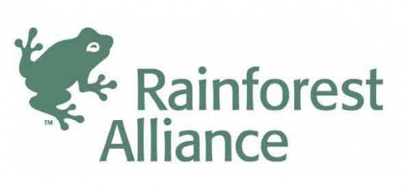 rainforest alliance logo design