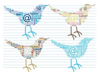 twordle birds