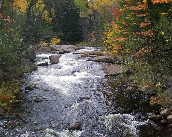 Cooper Brook