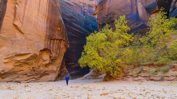 Buckskin Gulch