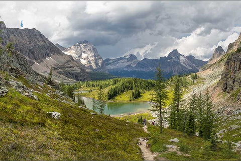 Lake O'Hara Alpine Trail