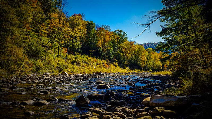 Loyalsock Trail