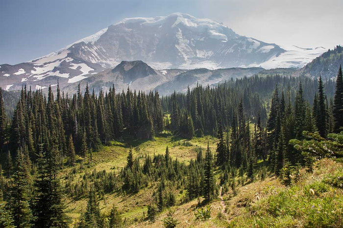 Mt Rainier along The Wonderland Trail