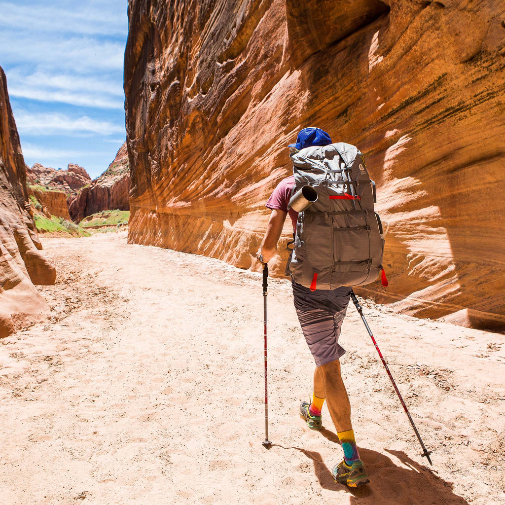 hiker walking pole