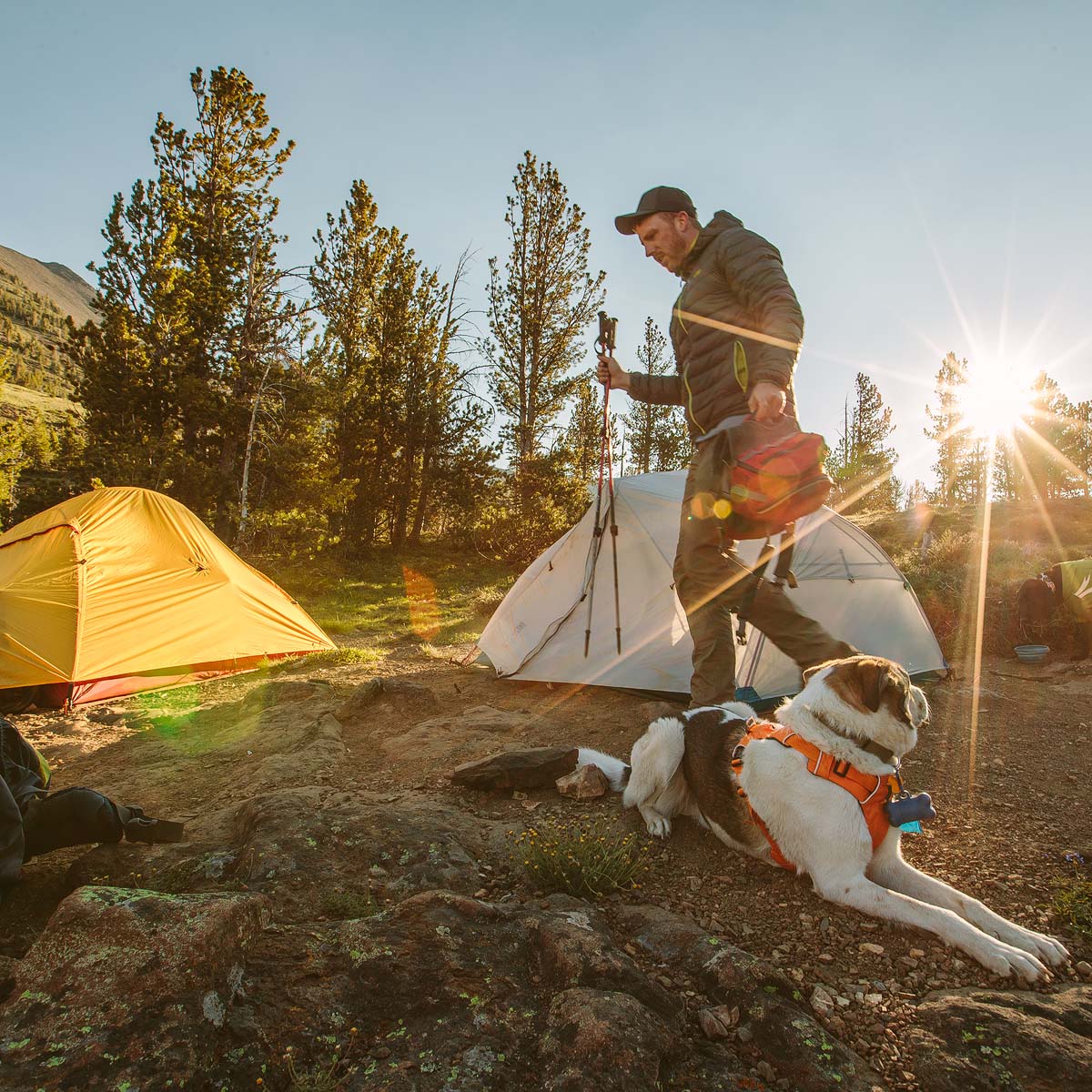 Zion 1P, 2P and 3P Backpacking Tent