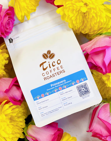 Tico Coffee Roasters Primavera blend