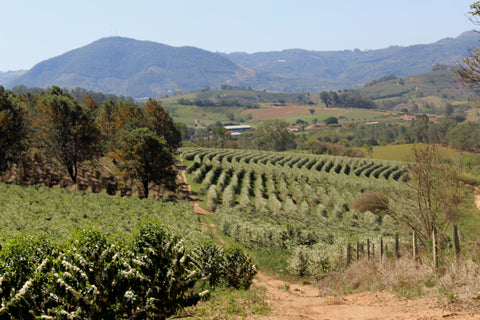 View of Fazenda Santa Clara in Andradas sul de Minas