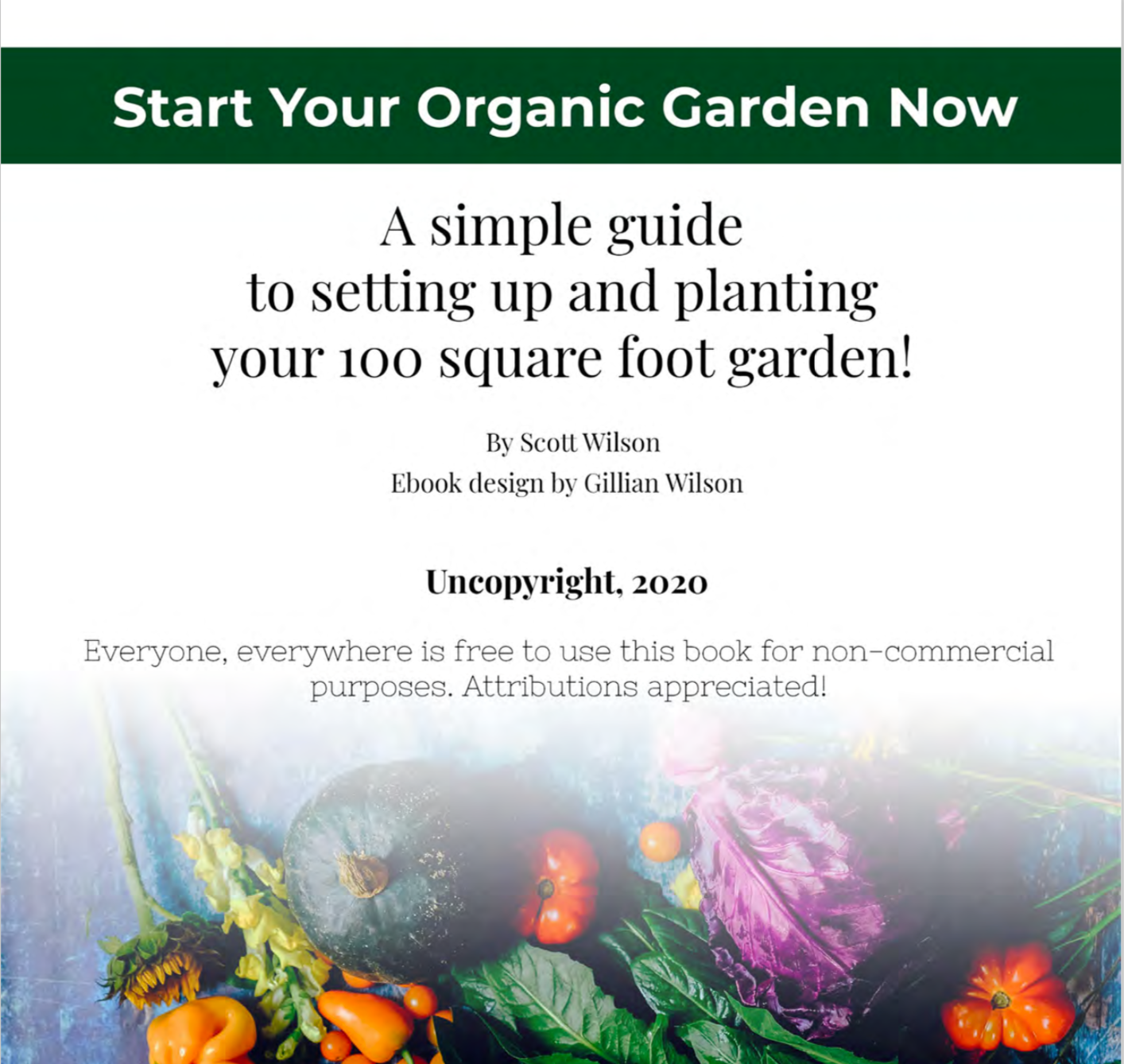 The 100 Square Foot Garden