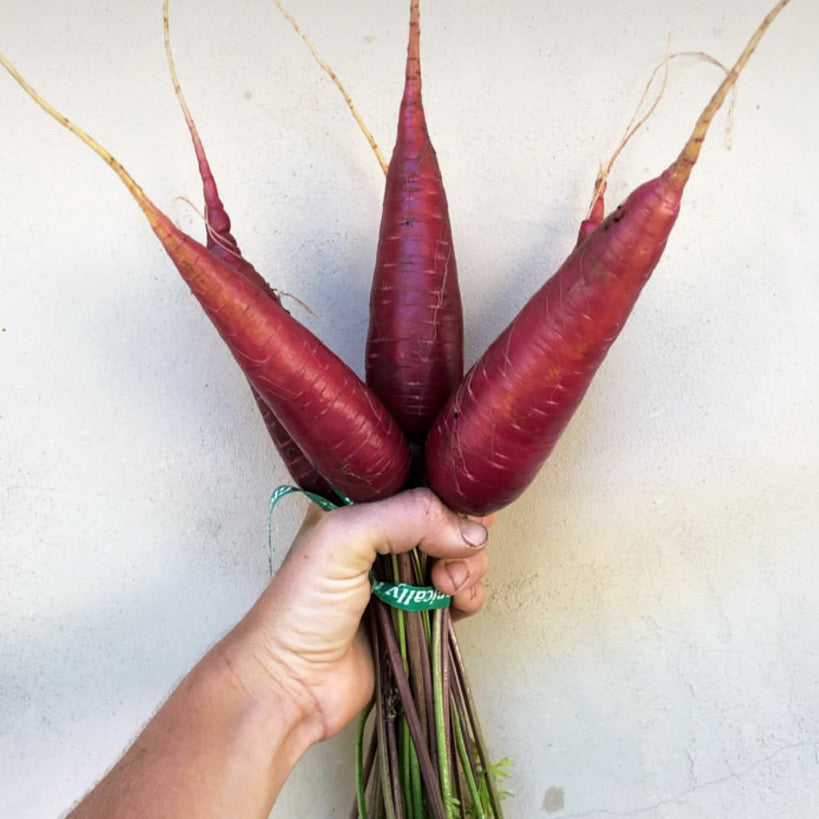 cosmic purple carrot