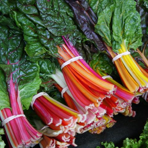 chard swiss prismatic rainbow seeds