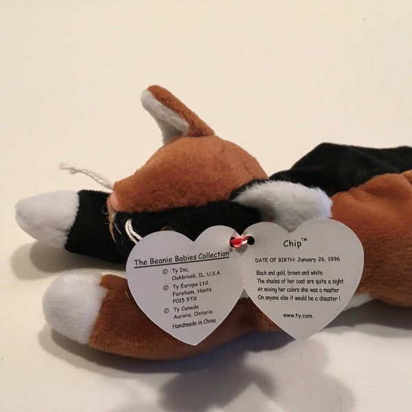 TY Beanie Baby Chip the Cat - Chickenmash Farm